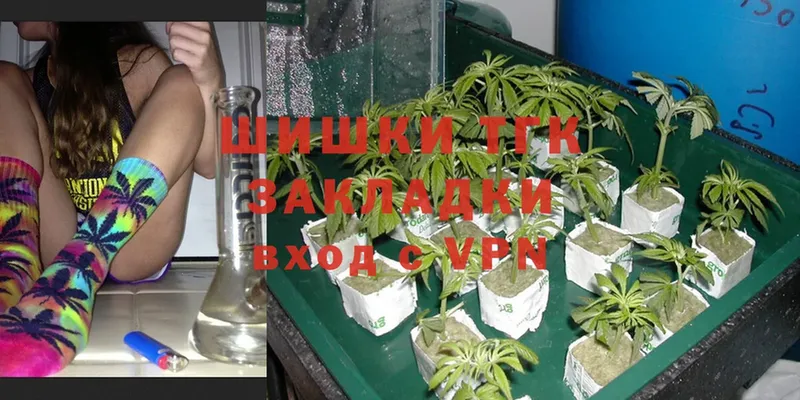 Каннабис Ganja  Заполярный 